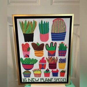 Saatchi Art 16 New Plant Species Cactus Succulents Framed Canvas Print